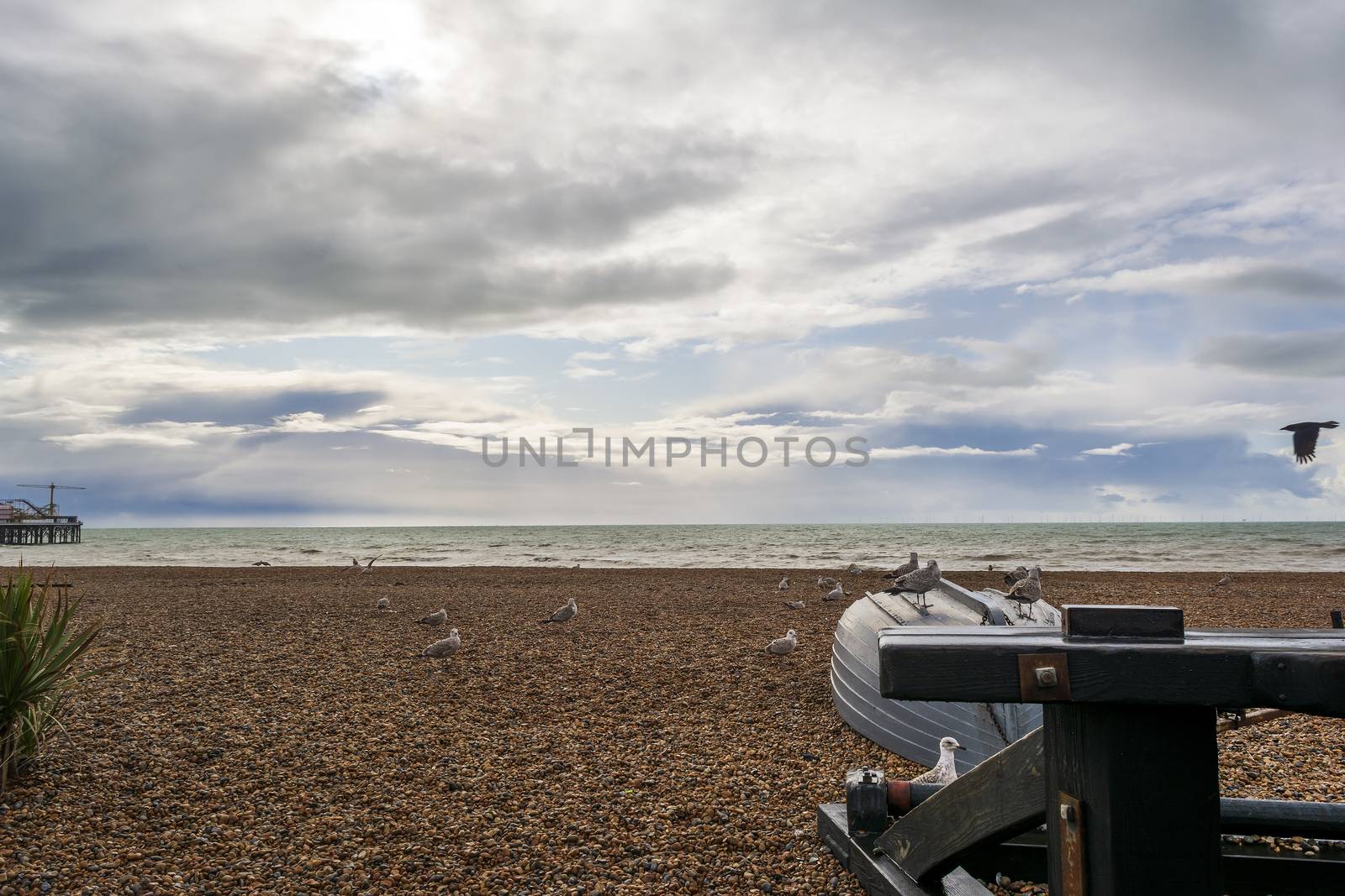 Seagulls standing on a small wrecked boat in Brighton's beach in autumn.