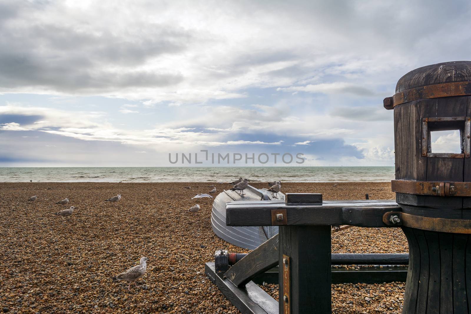 Seagulls standing on a small boat in Brighton's beach by ankarb