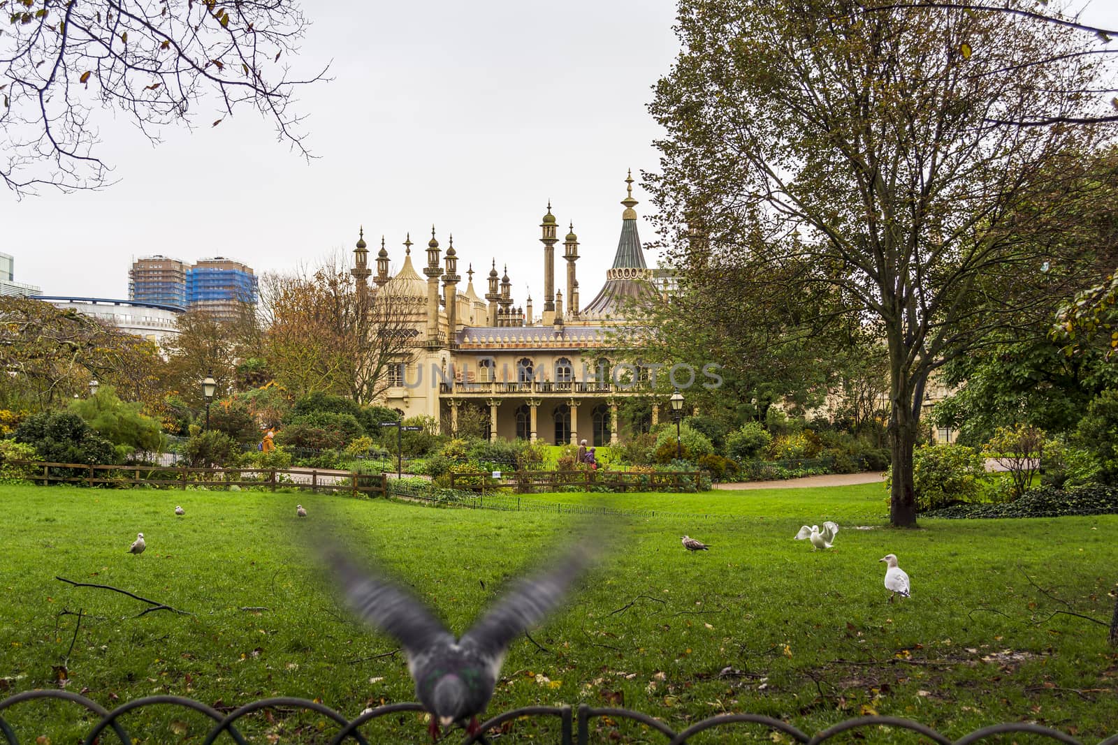 Brighton and Hove, East Sussex, UK - November 4, 2019: Historic Royal pavilion in Brighton, England. The Royal Pavilion, also known as the Brighton Pavilion, is a former royal residence located in Brighton, England.