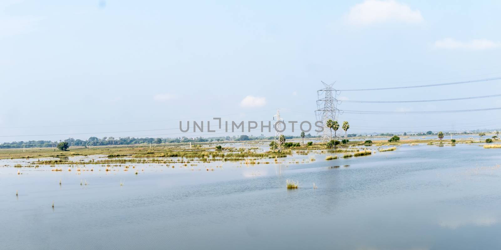 Agricultural land affected by flood. Flooded Food crop Fields. A Natural disaster in Agriculture and farming caused by due to heavy rain as Sea-level water rises. Eastern India, South Asia Pac.