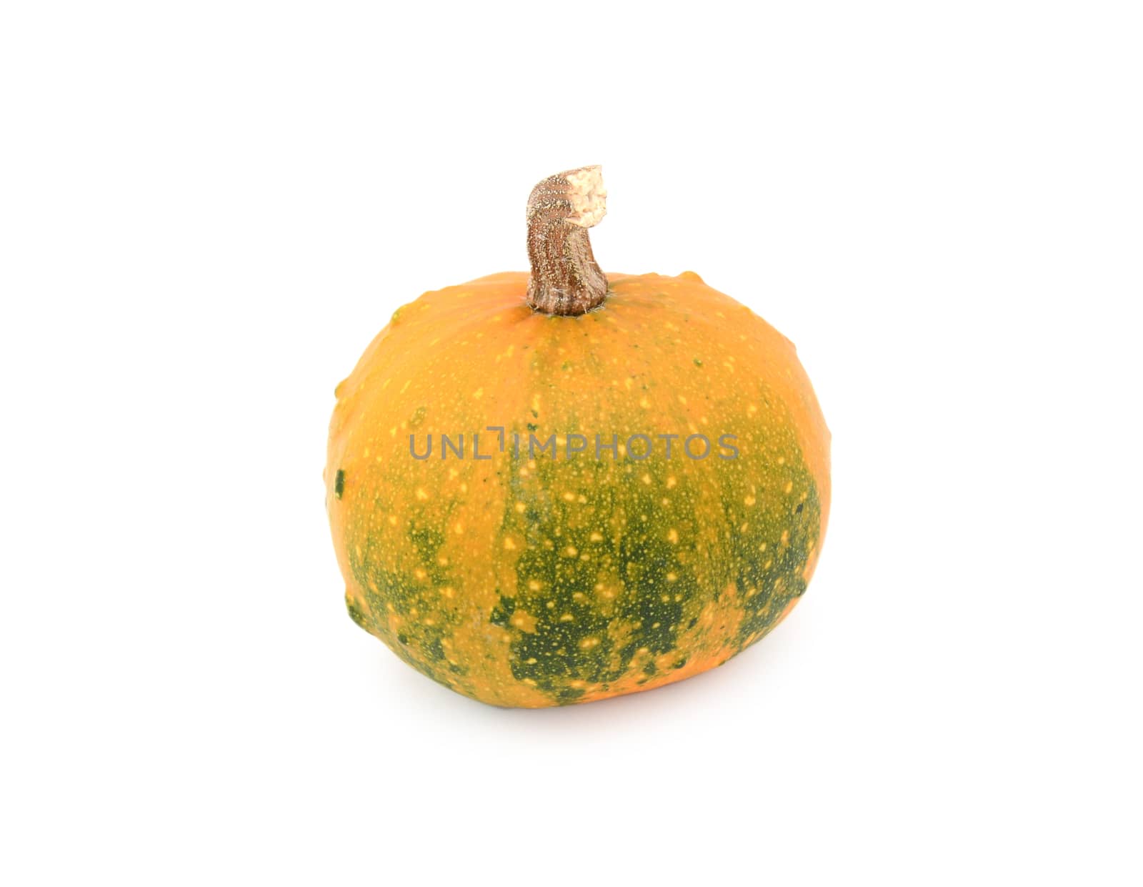 Ornamental gourd ripening from dark green to orange, on a white background