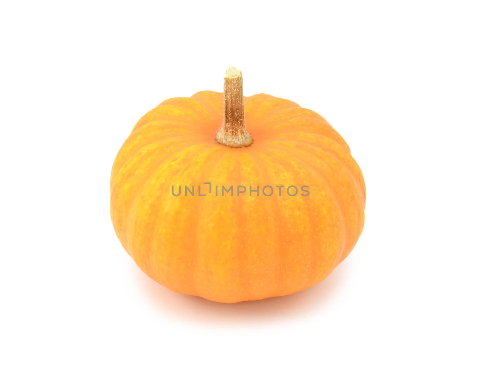 Round, orange Jack Be Little mini pumpkin for Halloween or Thanksgiving, on a white background