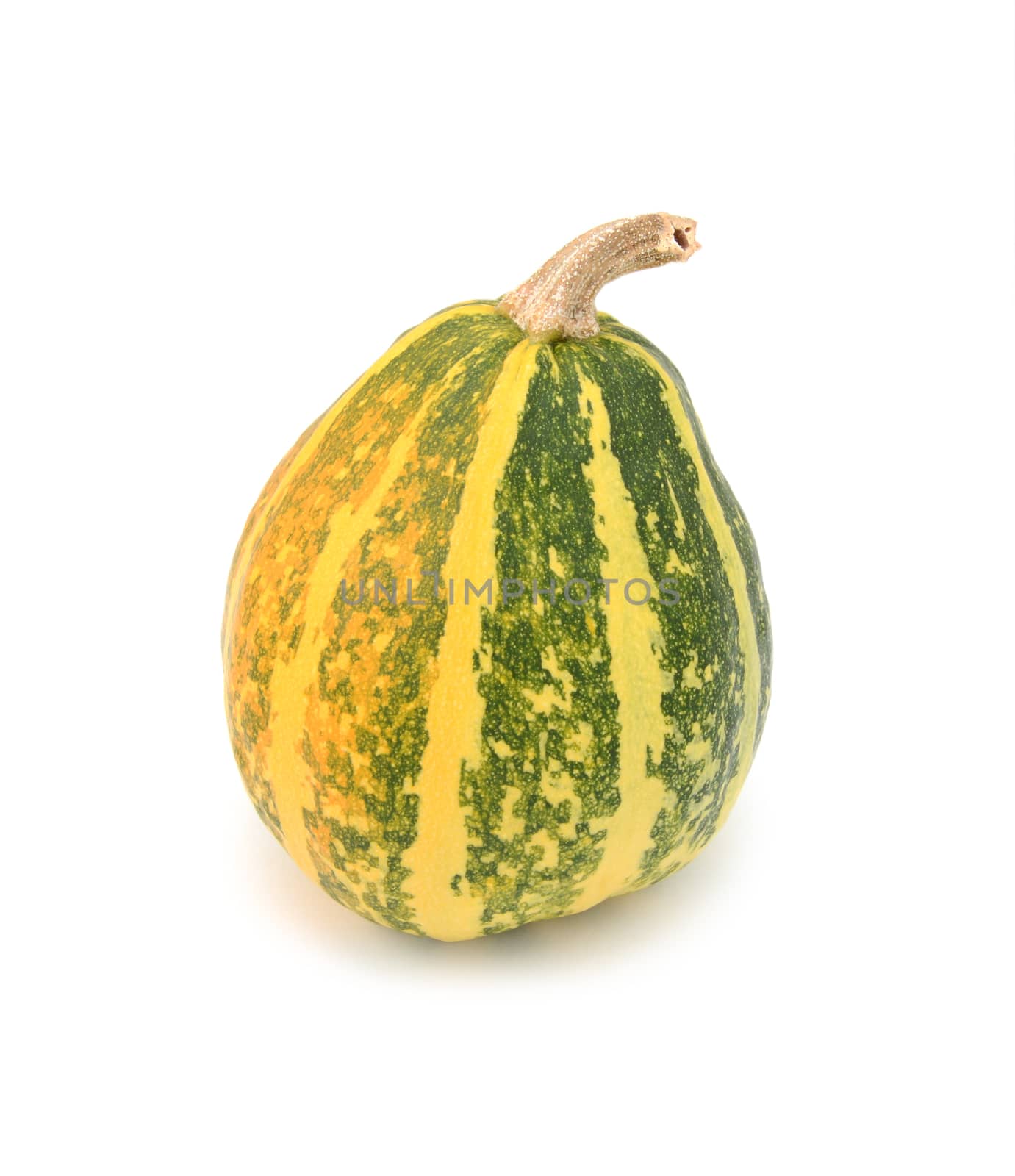 Half-ripe ornamental gourd with yellow and green stripes, changing to orange, on a white background