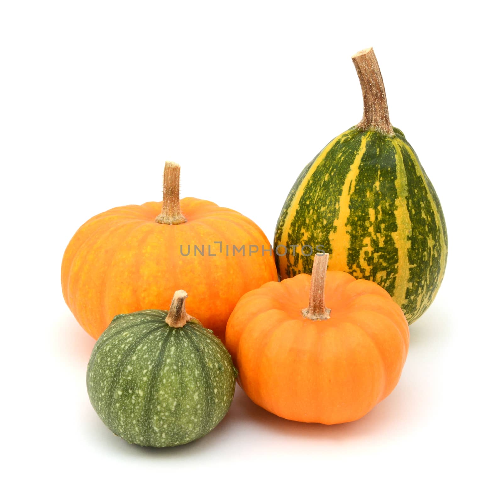 Green ornamental gourds and orange Jack Be Little mini pumpkins, on a white background