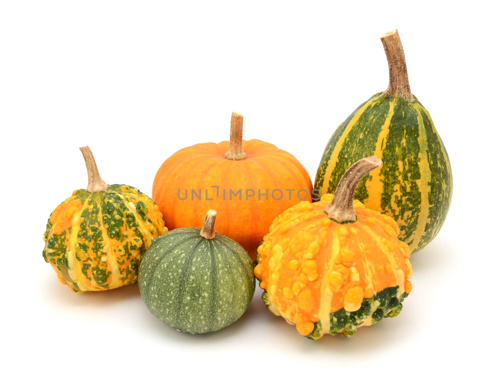 Group of decorative gourds with orange and green markings for fall decoration, on a white background