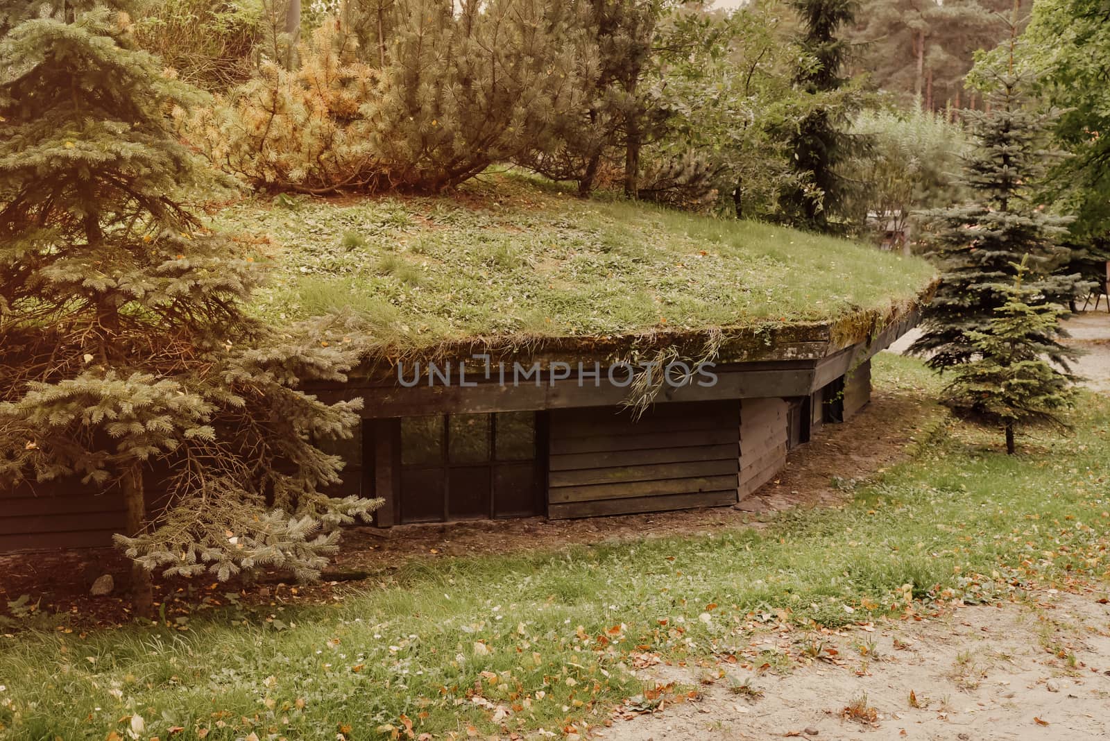 WW2 bunker in the forest at Szymbark area in Poland, shelter in case of bombing.