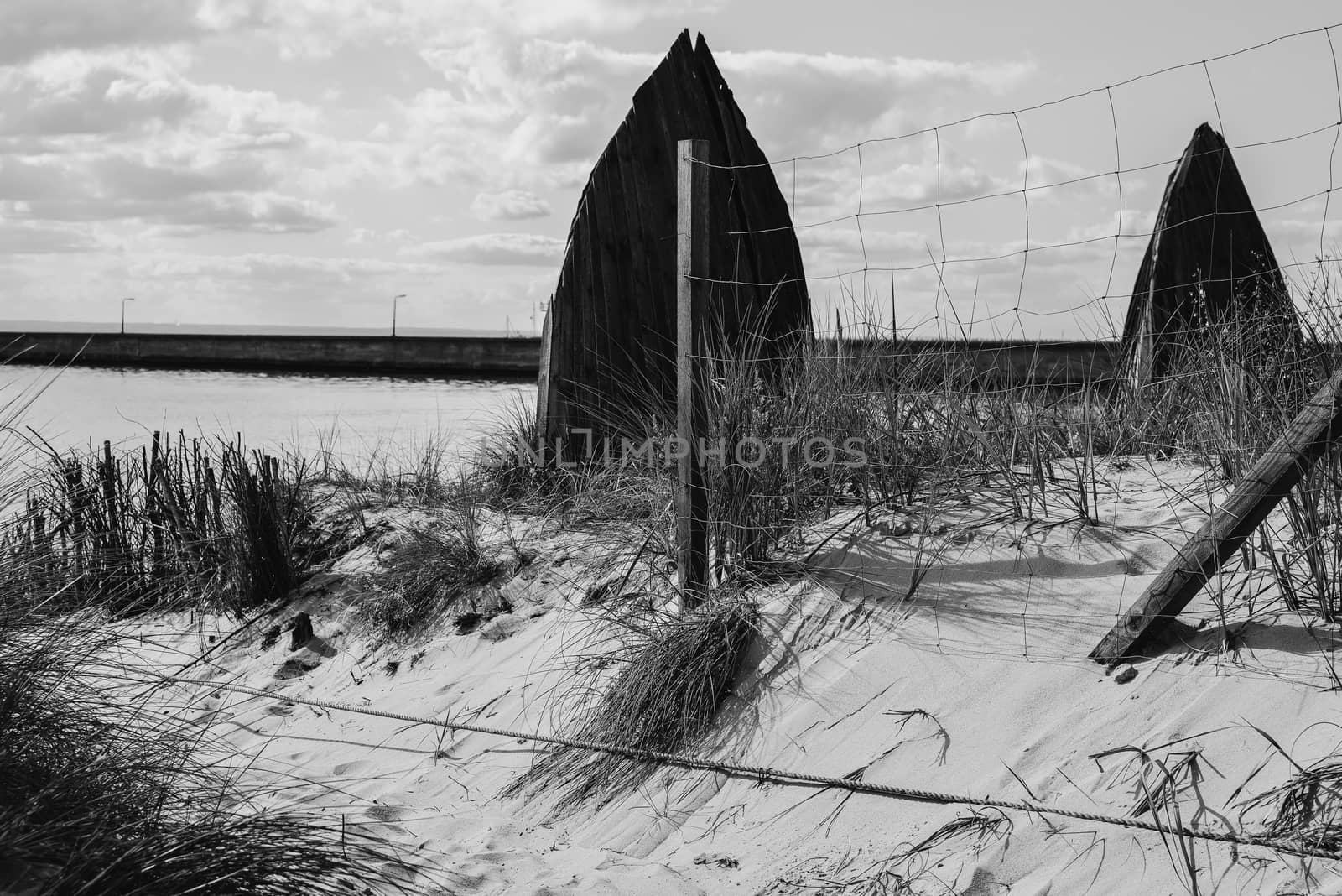 A wooden sculpture with the fence at sandy beach concept in B&W