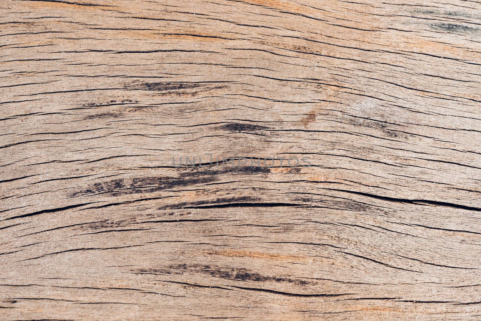 Old wood board, copy space wooden texture pattern background
