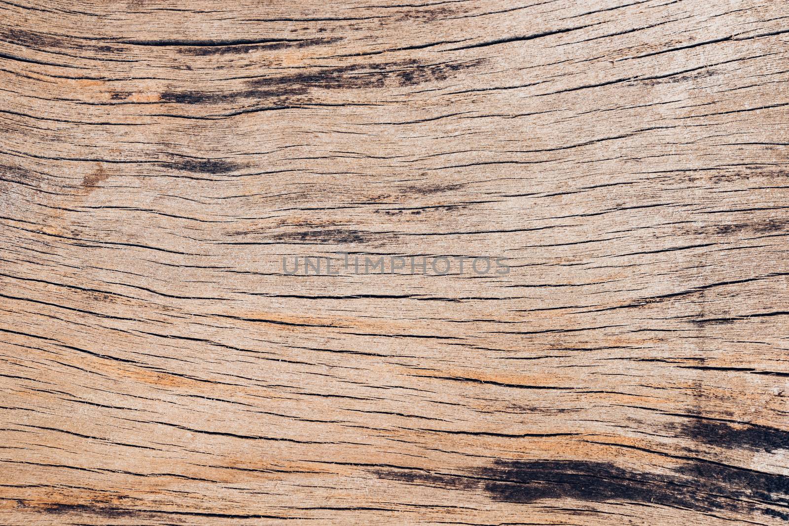 Old wood board, copy space wooden texture pattern background