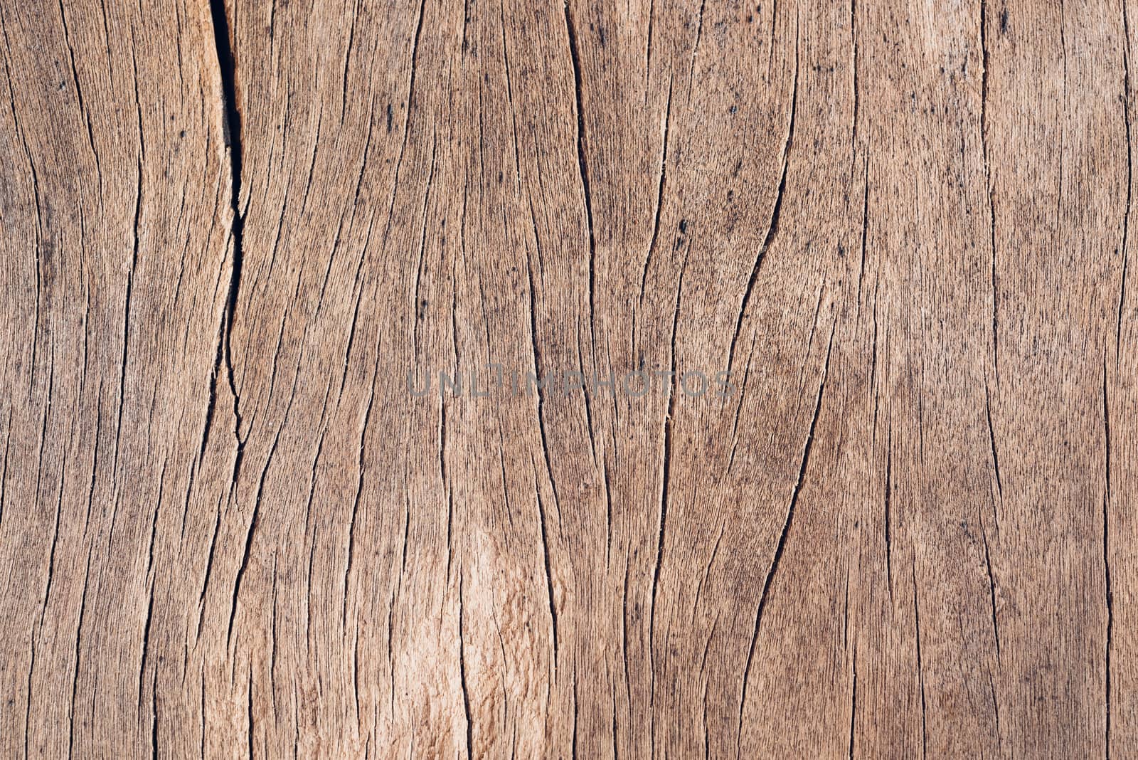 Old wood board, copy space wooden texture pattern background