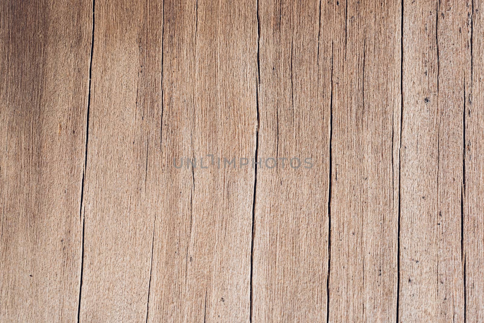 Old wood board, copy space wooden texture pattern background