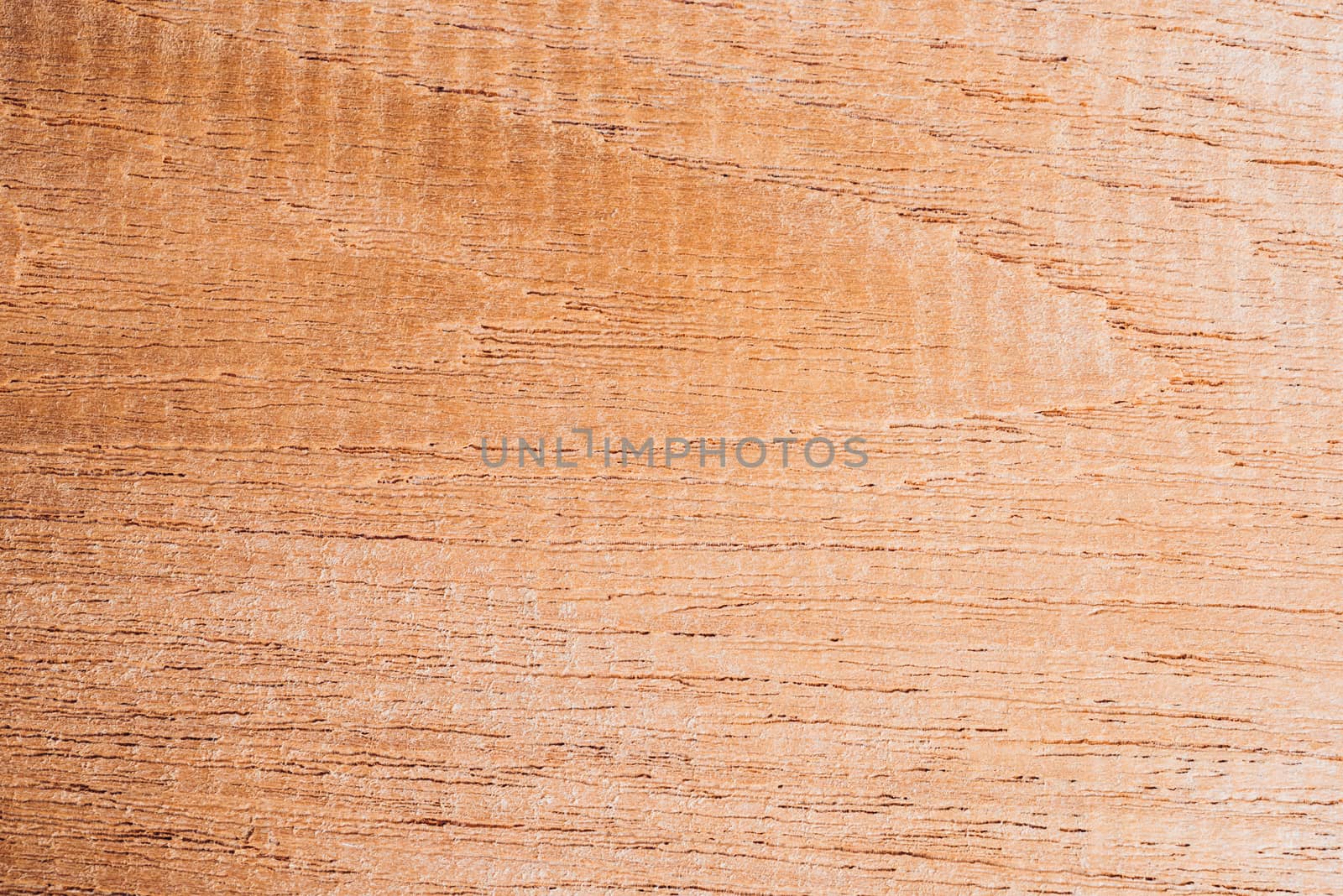 Old wood board, copy space wooden texture pattern background