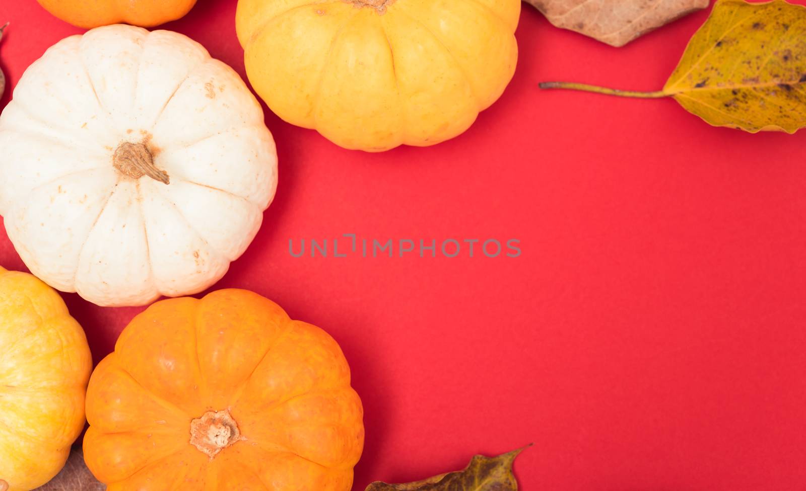 Festive autumn, Halloween and Thanksgiving day pumpkins and leav by Sorapop