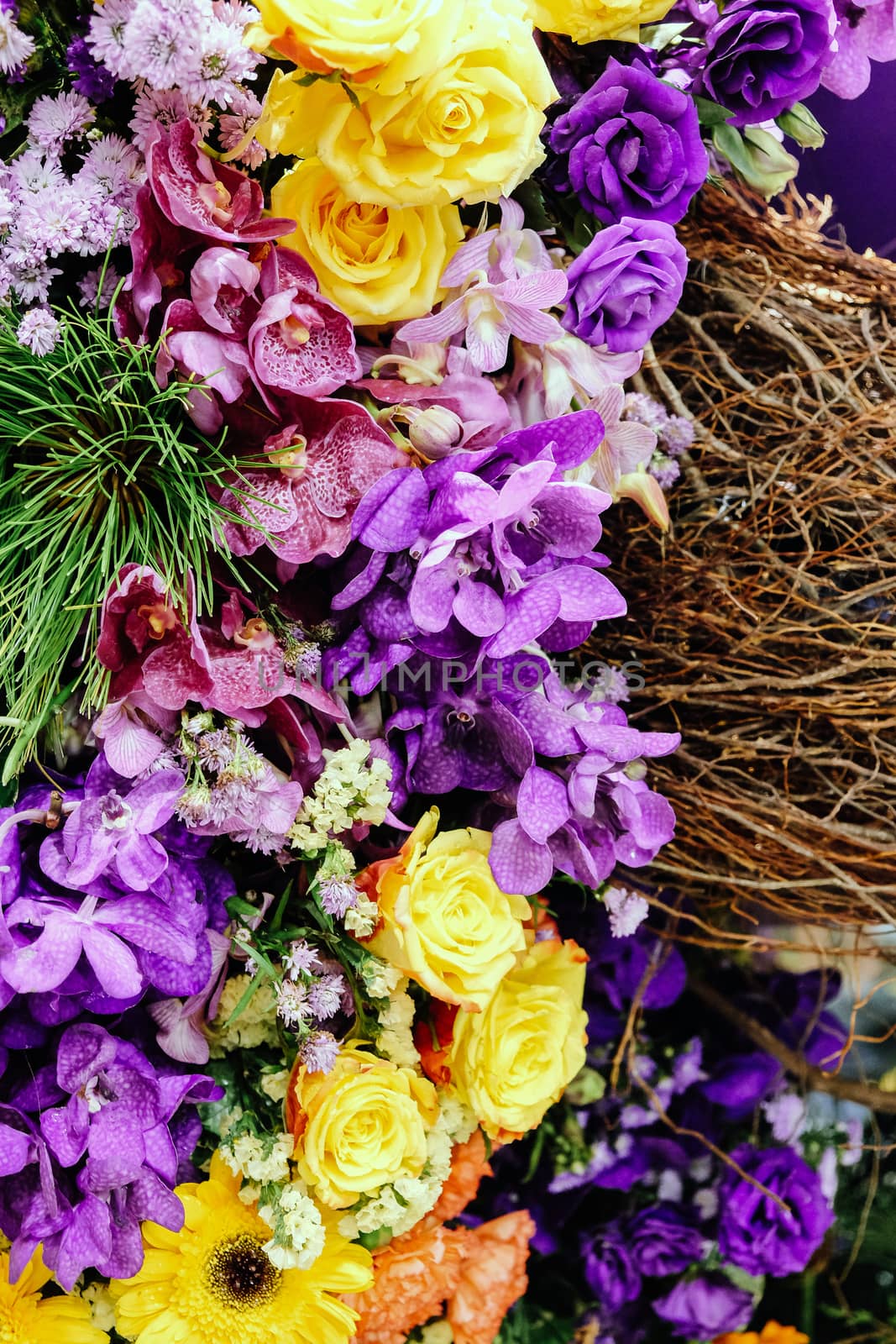 image of Colorful flowers background. by ponsulak