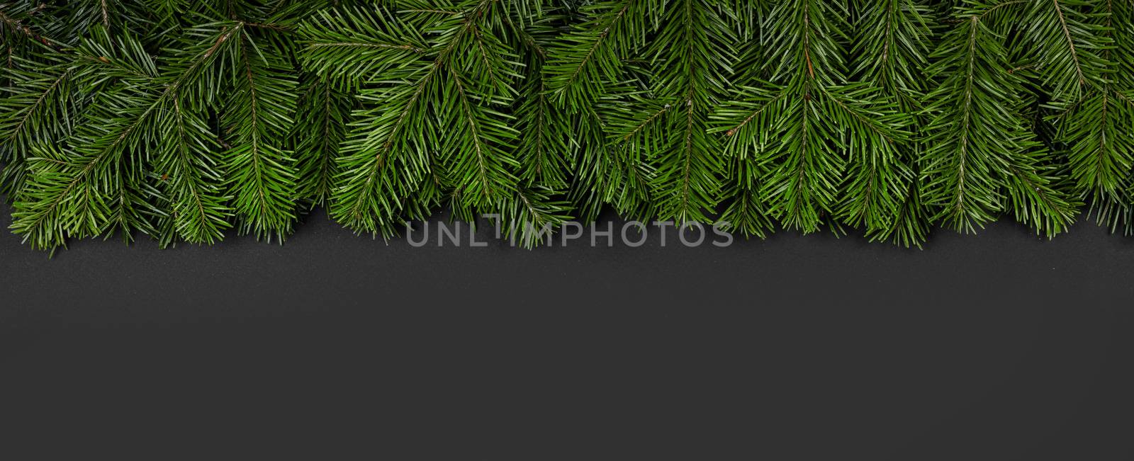 Christmas border arranged with fresh fir branches and pine cone on black paper background , copy space for text