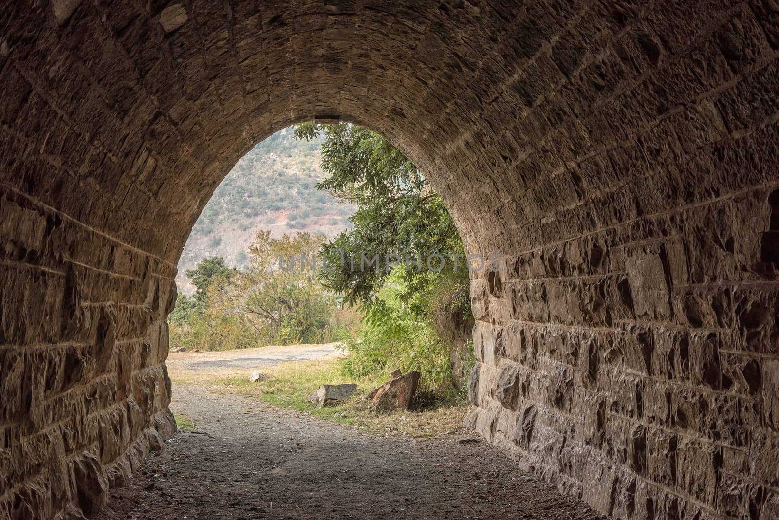 Eastern exit of the historic railroad tunnel at Waterval Boven by dpreezg