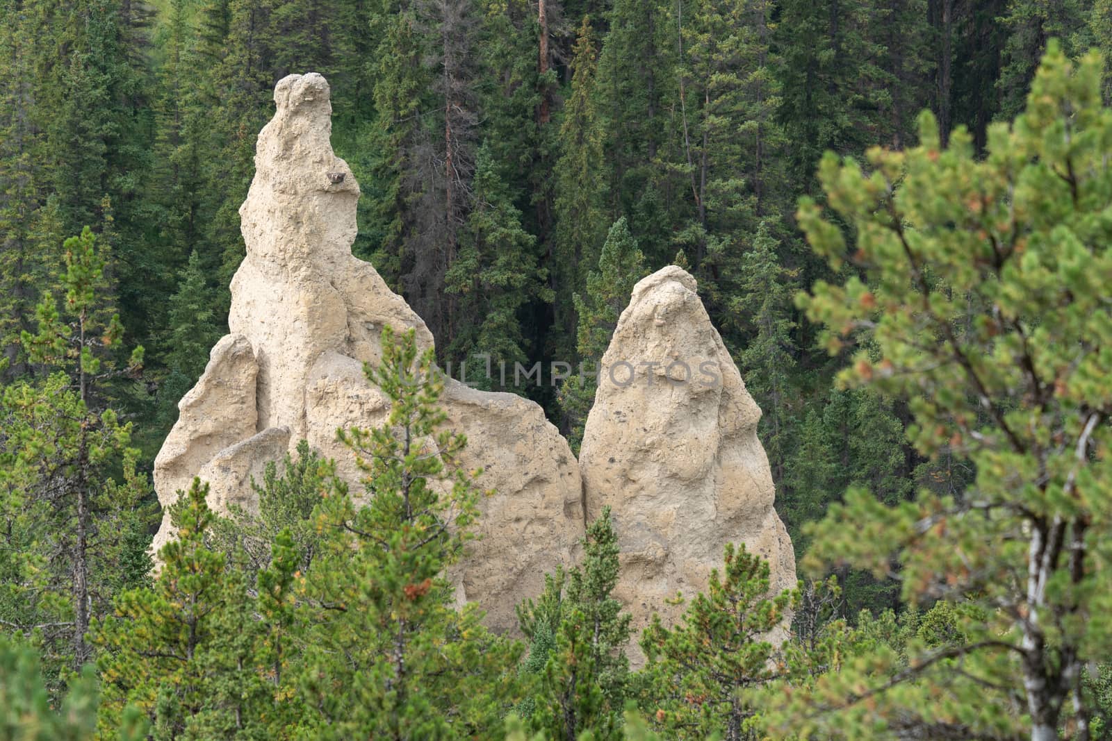 Close up image of the Hoodoos close to Banff, Banff National Park, Alberta, Canada
