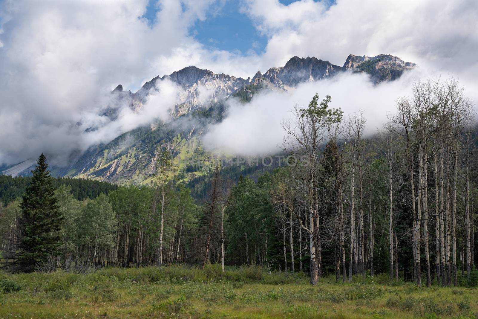 Panoramic image of the landscape along the Bow Valley Parkway, Banff National Park, Alberta, Canada