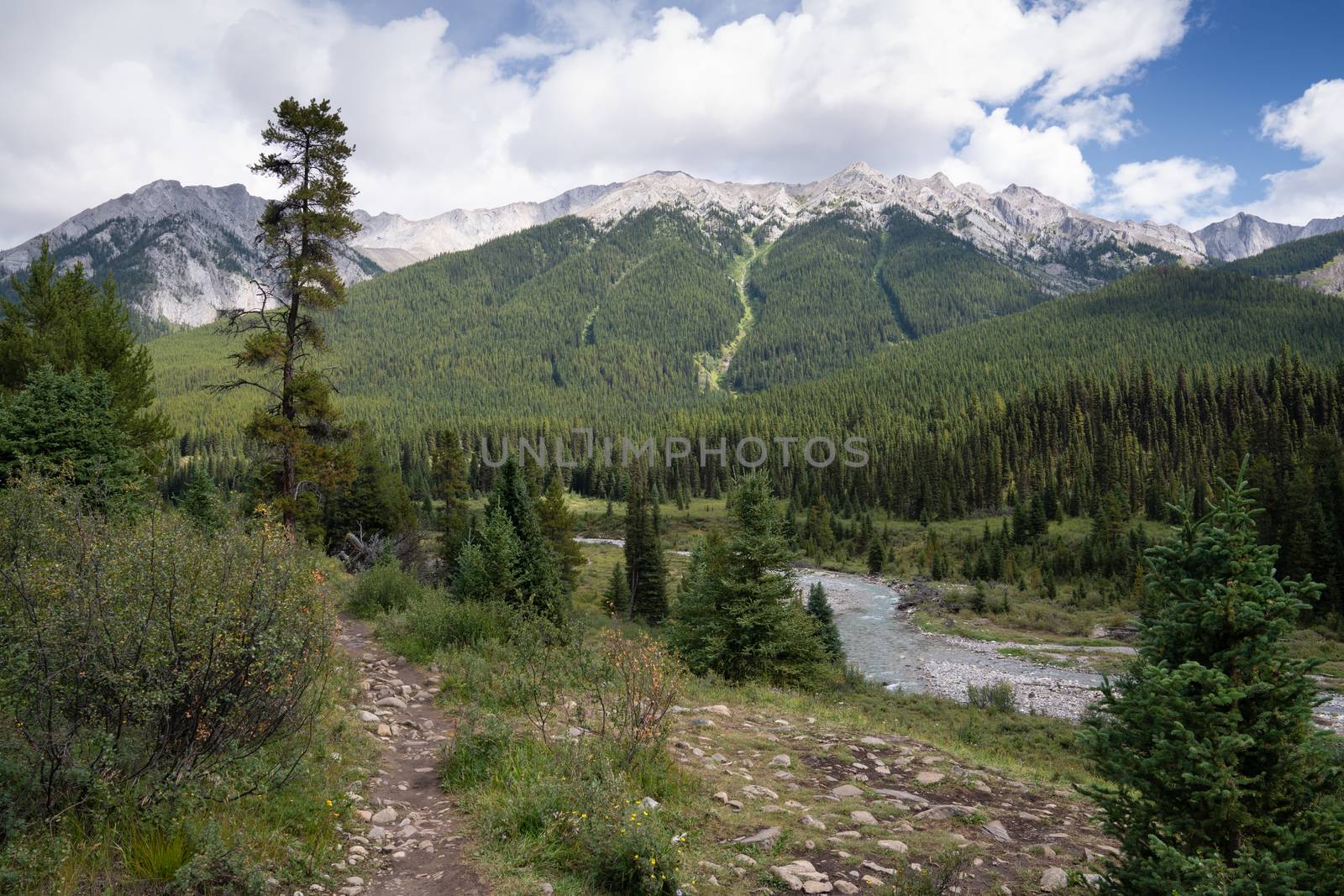 Panoramic image of the landscape along the Bow Valley Parkway, Banff National Park, Alberta, Canada