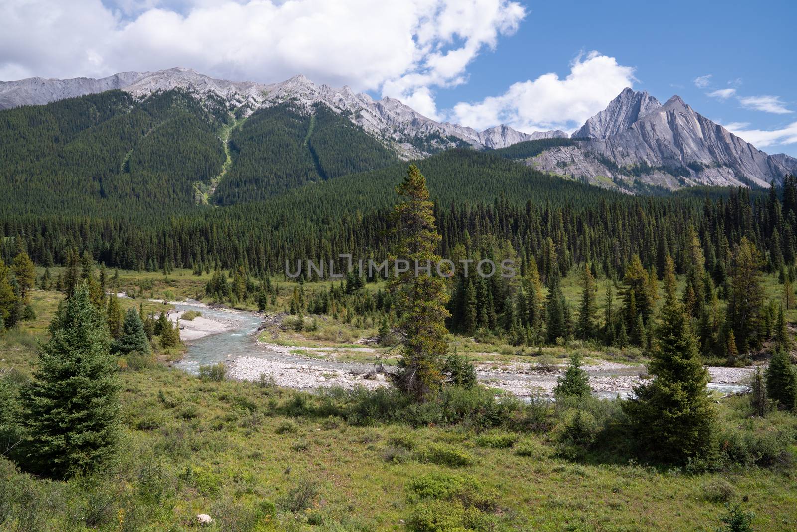 Panoramic image of the landscape along the Bow Valley Parkway, Banff National Park, Alberta, Canada