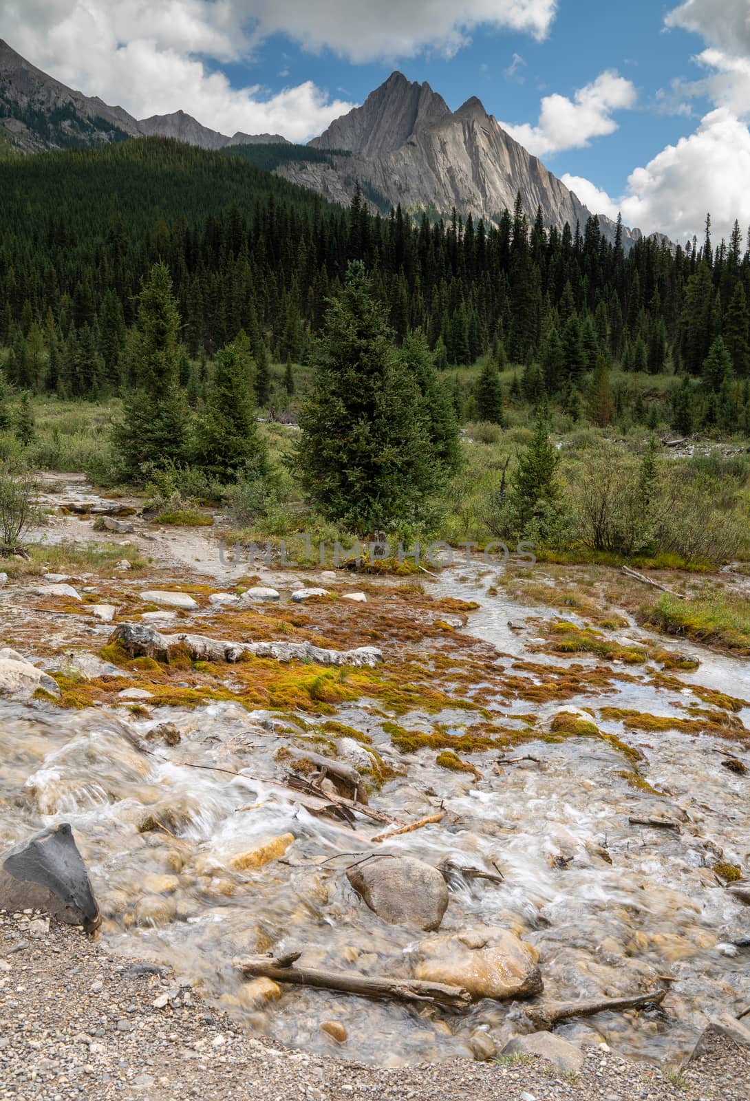 Bow Valley Parkway, Banff National Park, Alberta, Canada by alfotokunst