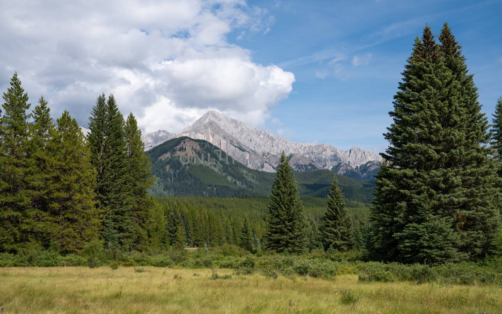 Landscape close to Bow Valley Parkway, Banff National Park, Alberta, Canada