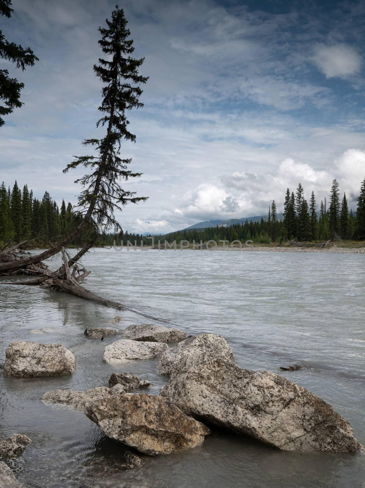 Panoramic image of a tranquil river scenery within the Kootenay National Park, British Columbia, Canada