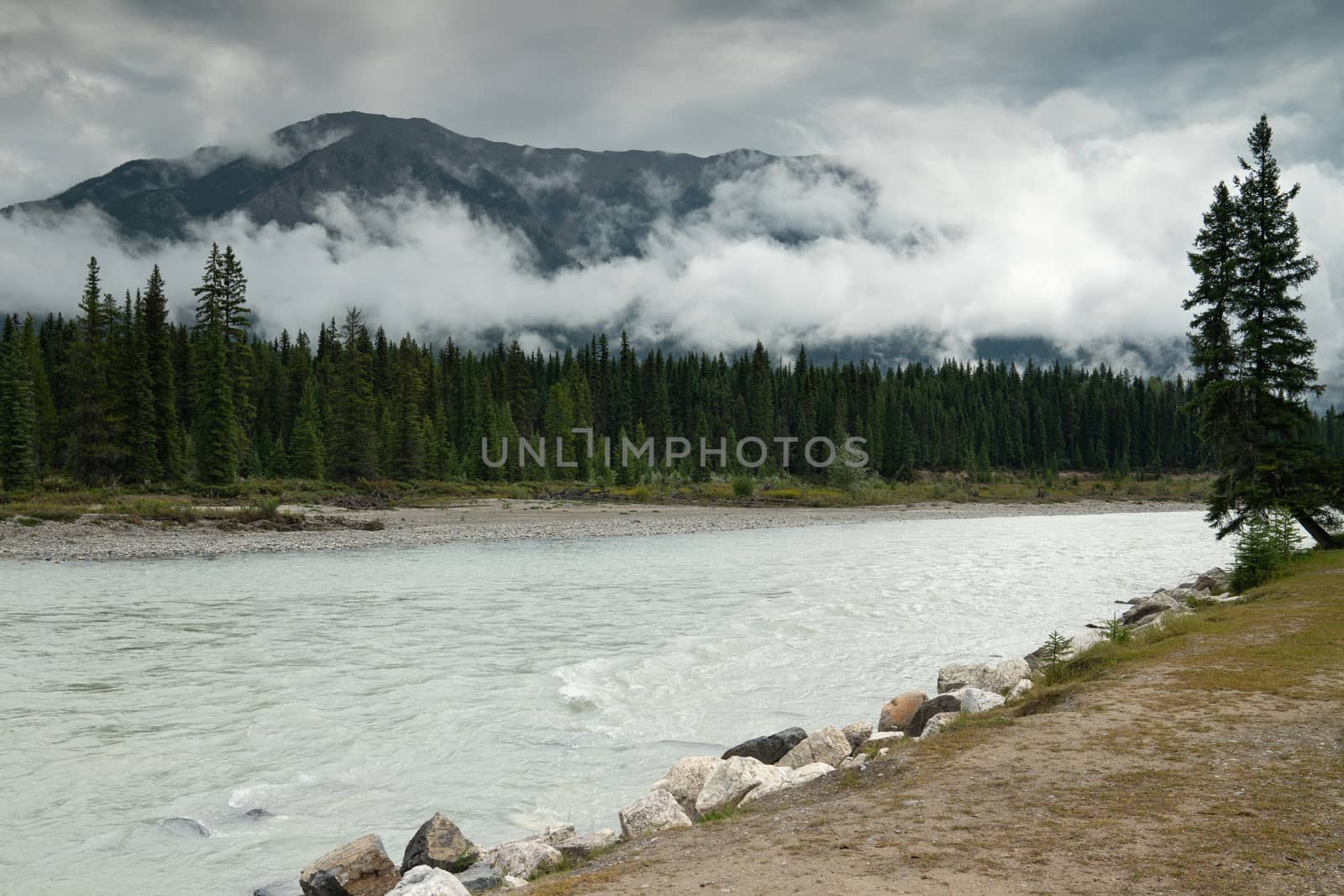 Panoramic image of a tranquil river scenery within the Kootenay National Park, British Columbia, Canada