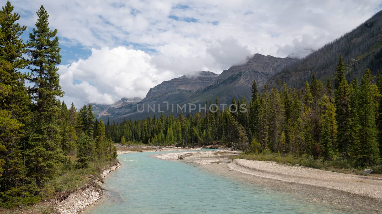 Panoramic image of a tranquil river scenery within the Kootenay National Park, British Columbia, Canada