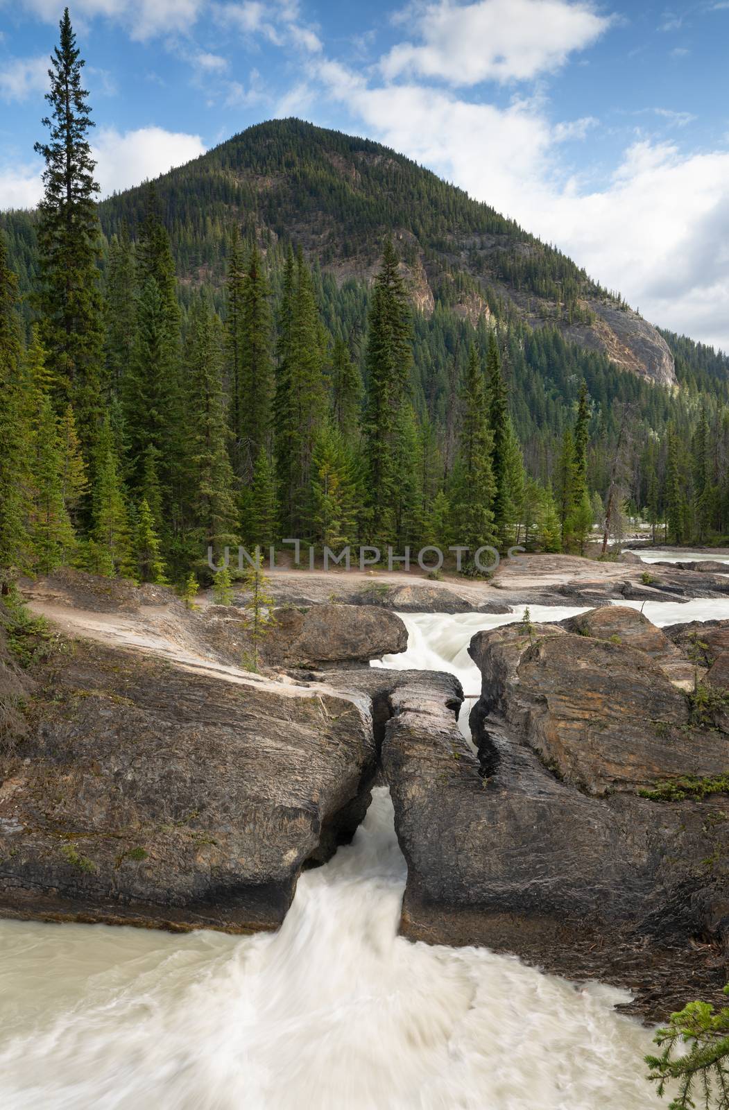 Long exposure image of an river in the Yoho National Park, British Columbia, Canada