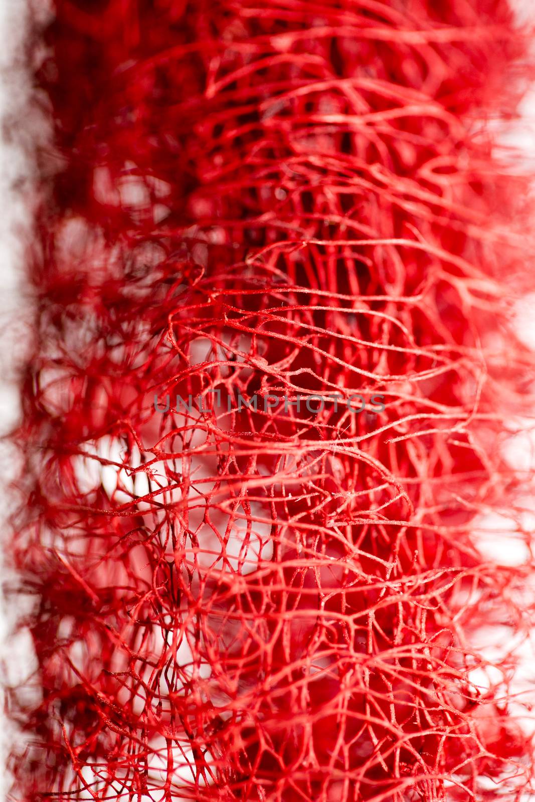 Red flower strange tropical blossom fruit macro background fifty megapixels