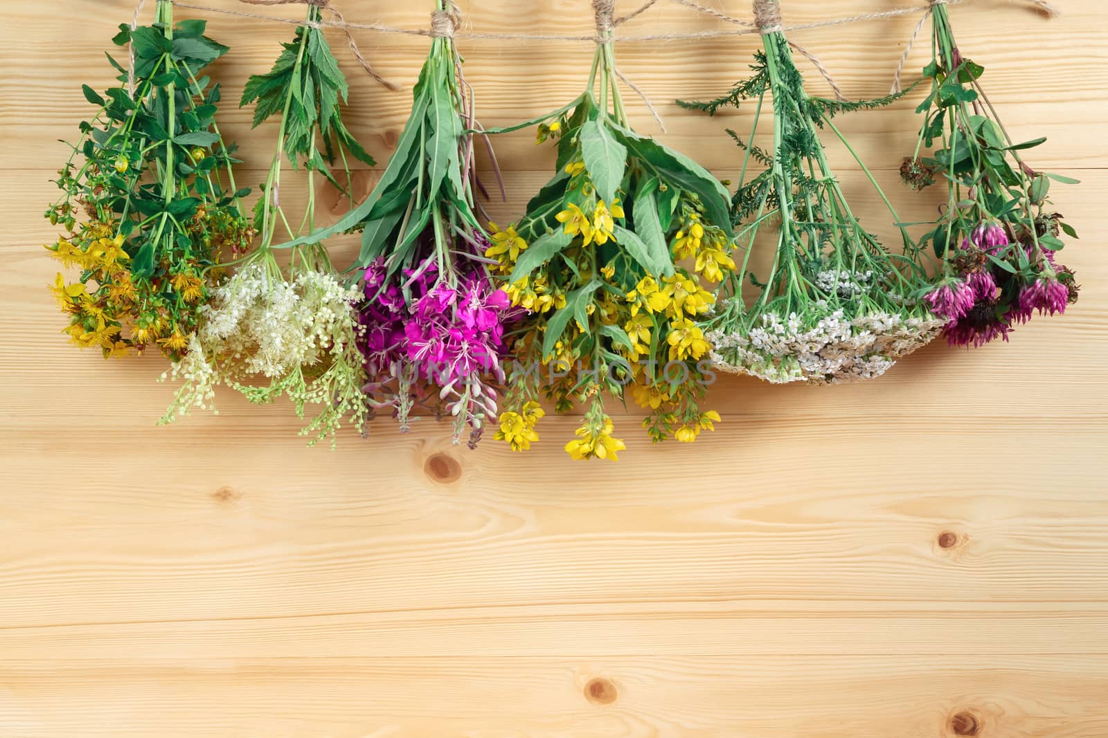 Bundles of medicinal herbs dried near a light wooden wall, alternative medicine and herbal treatment concept, copy space, place for text, background.