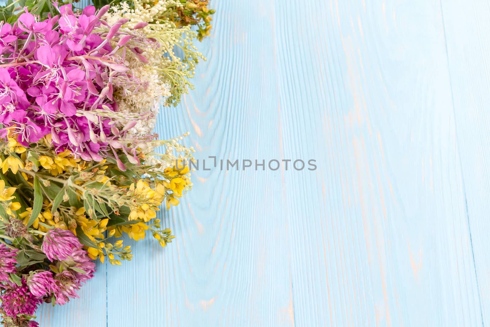 Bundles of medicinal herbs on a blue wooden background, alternative medicine and herbal treatment concept, copy space, place for text.