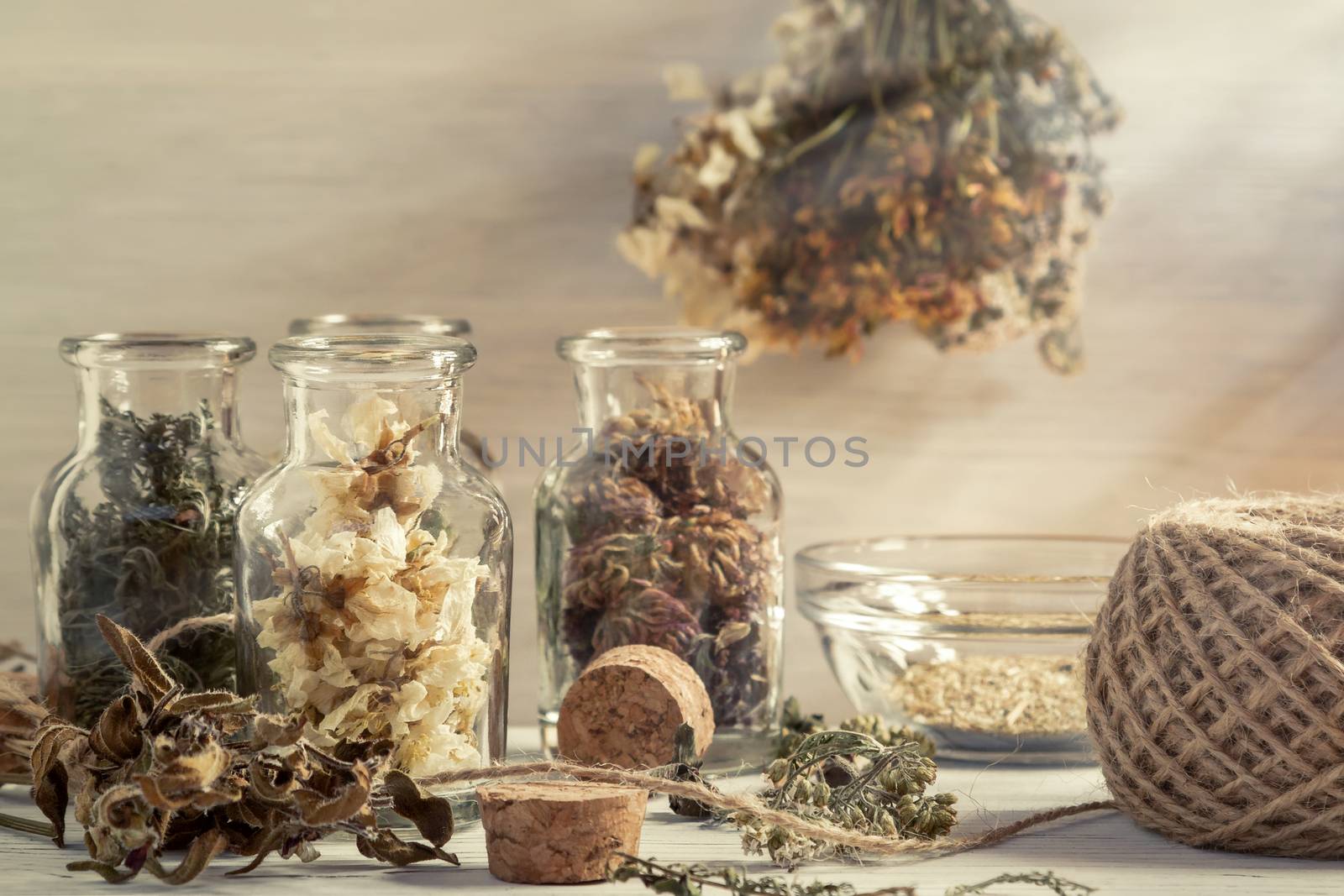 Drying and harvesting of medicinal herbs, homeopathy and alternative medicine concept by galsand