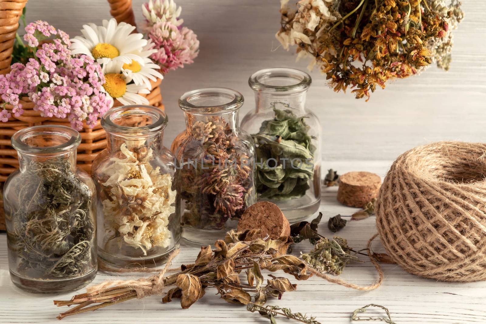 Drying and harvesting of medicinal herbs, homeopathy and alternative medicine concept.