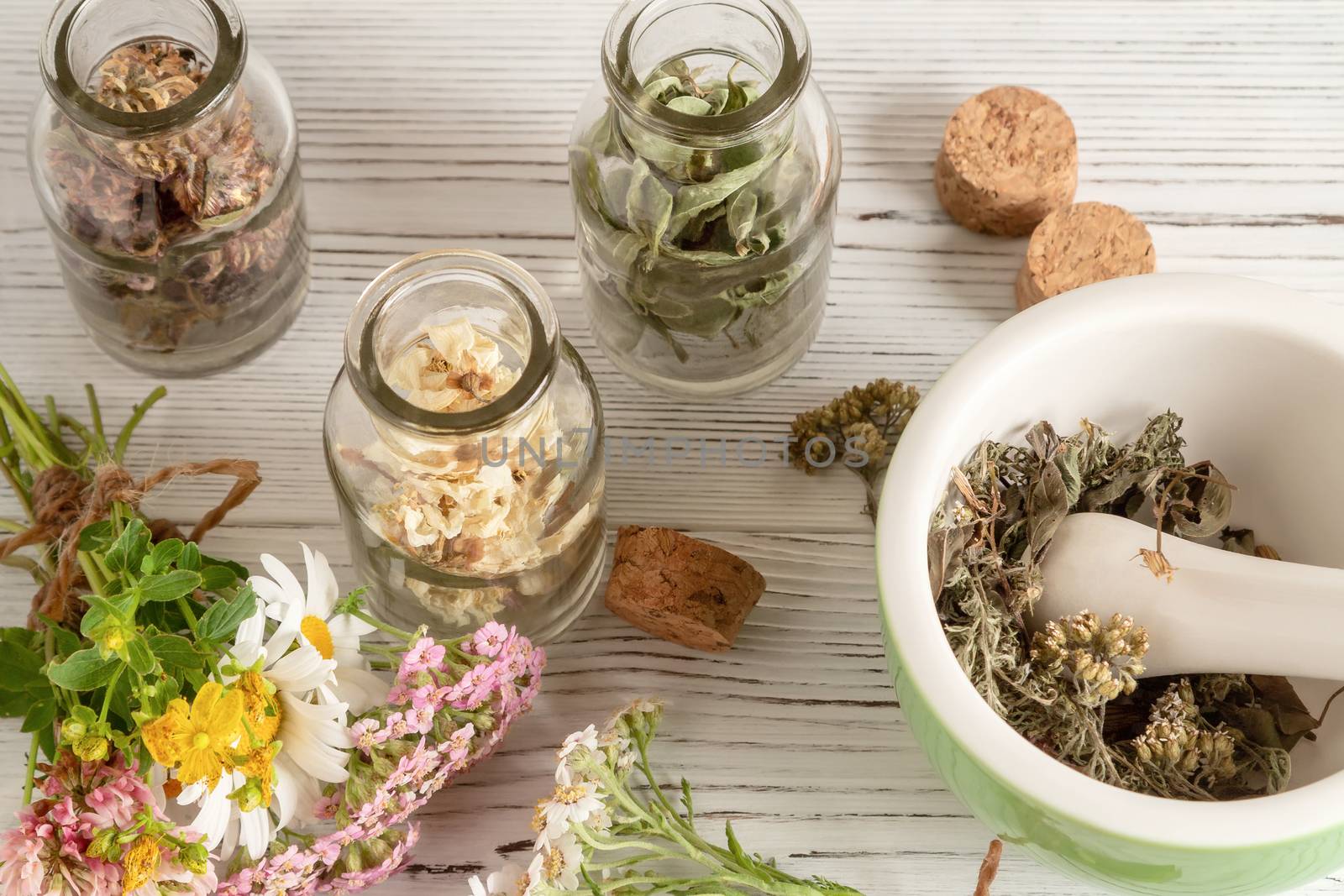 Drying and harvesting of medicinal herbs, homeopathy and alternative medicine concept by galsand