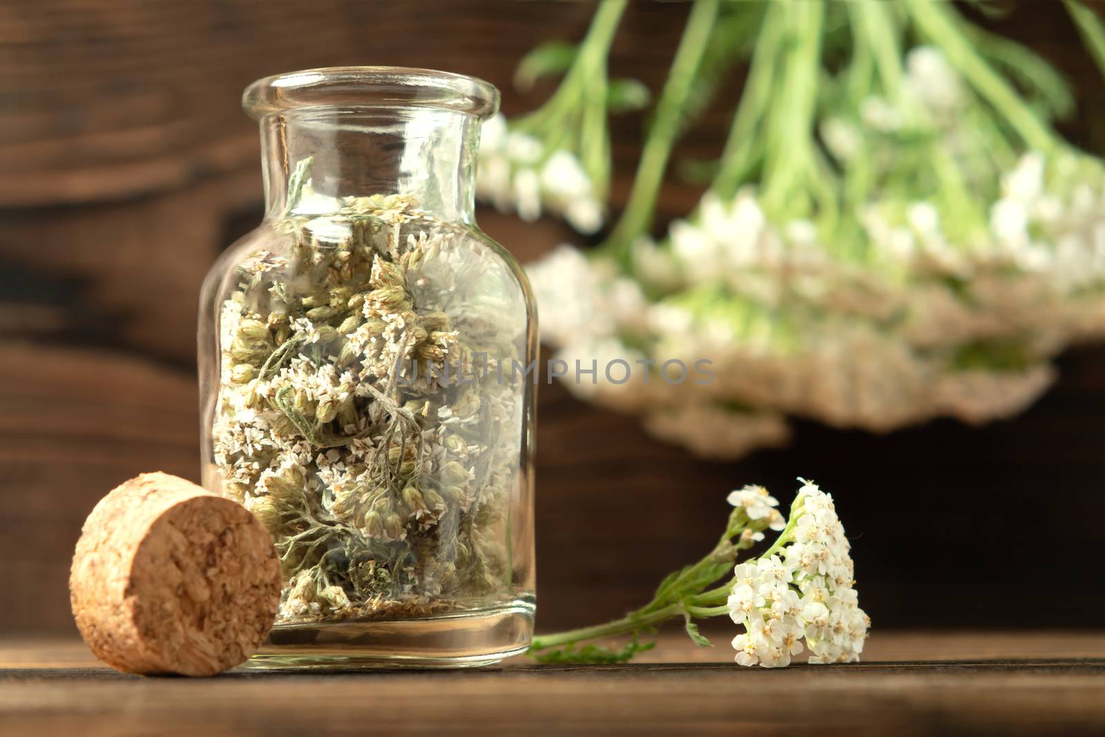 Concept of homeopathy and herbal treatment - dried achillea millefolium know as yarrow in a bottle by galsand