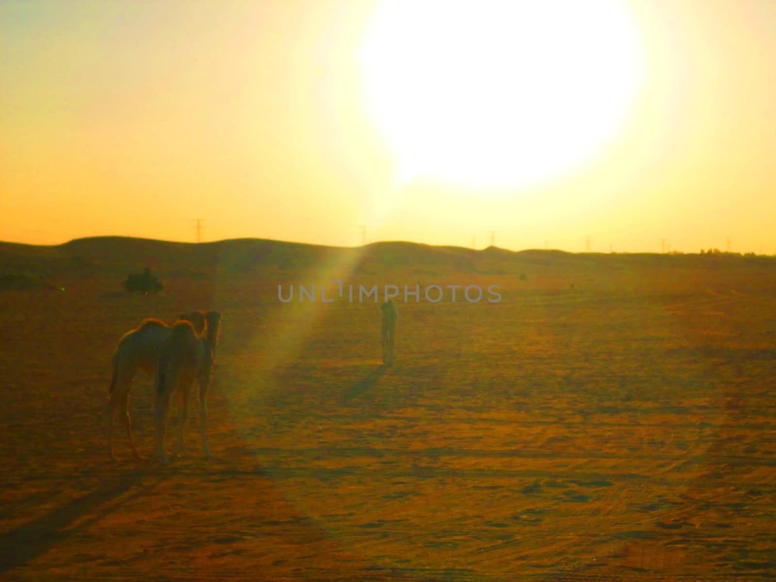 visiting desert during winter