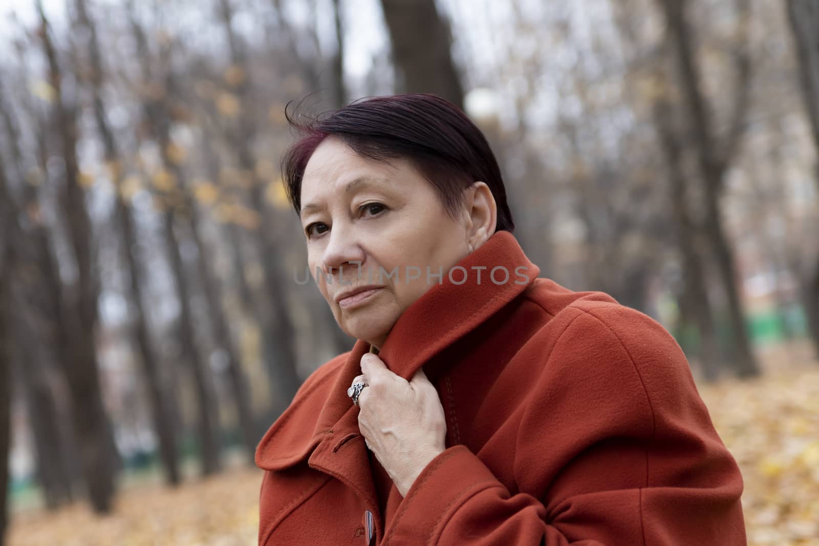 Senior woman in the park in autumn by bonilook