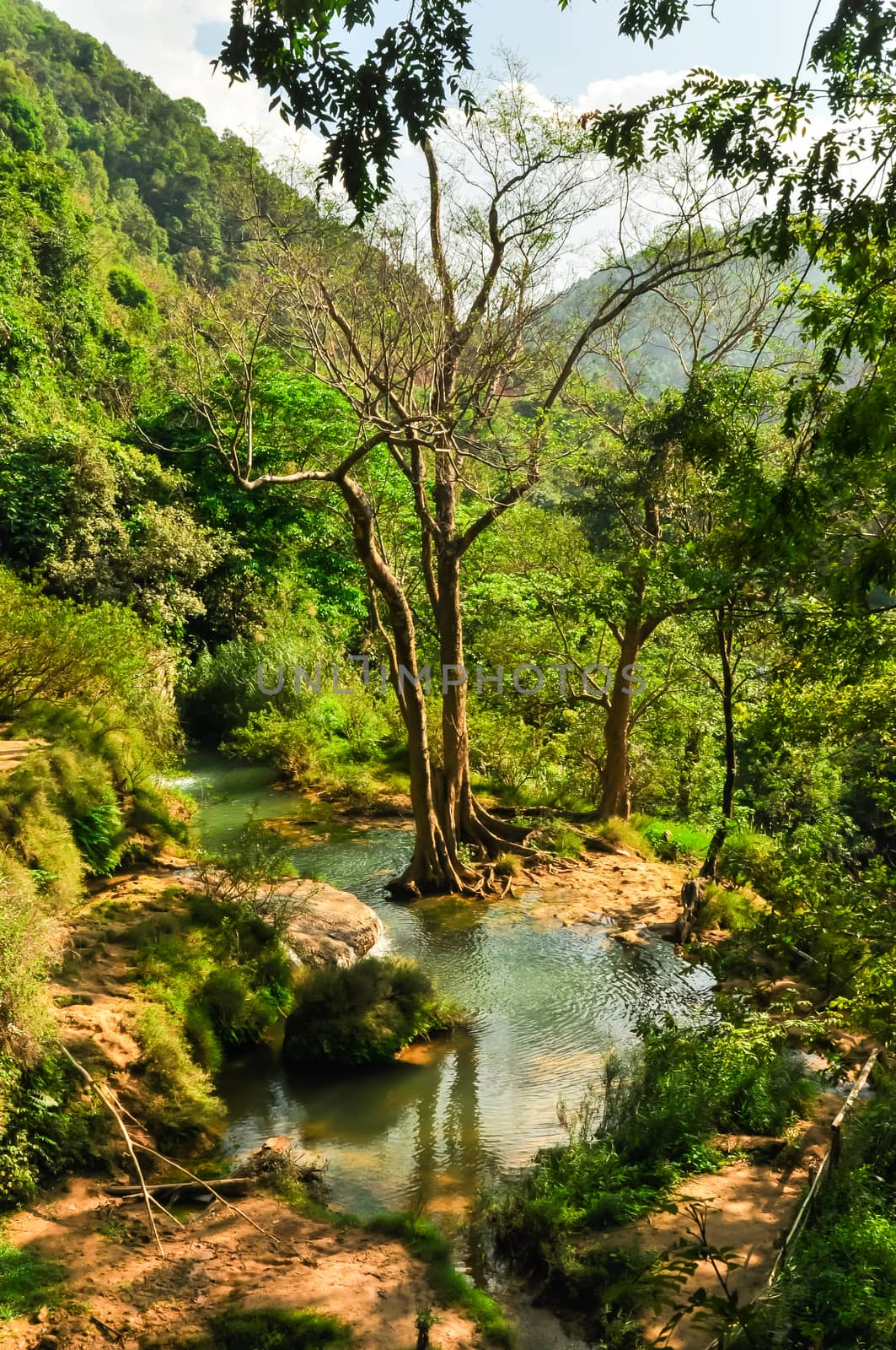Upstream of the Vat spring which flows to Dai Yem (Pink Blouse) waterfall, Moc Chau, Son La, Vietnam. Floral stretch of land with stunning view of surrounding mountainous. Early days of life on earth
