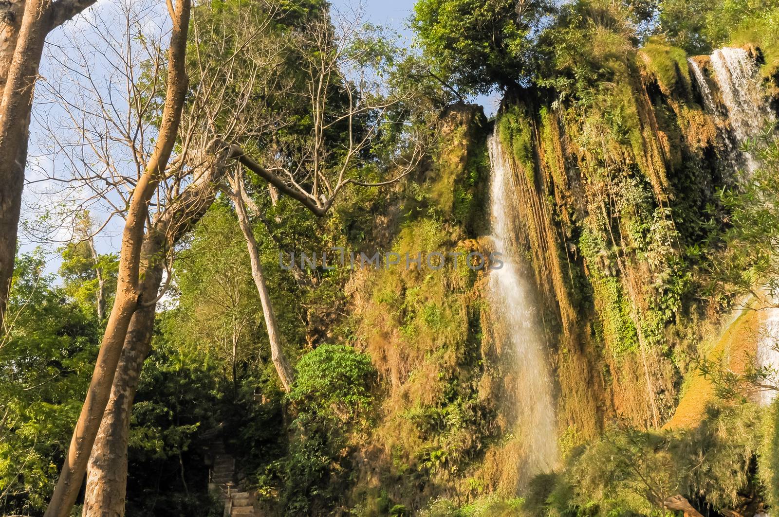 Grand mountain landscape of tree lush greenery and white curtain flowing in Dai Yem (Pink Blouse) waterfall, Moc Chau, Son La, Vietnam. Primeval scene of the early days of life on earth