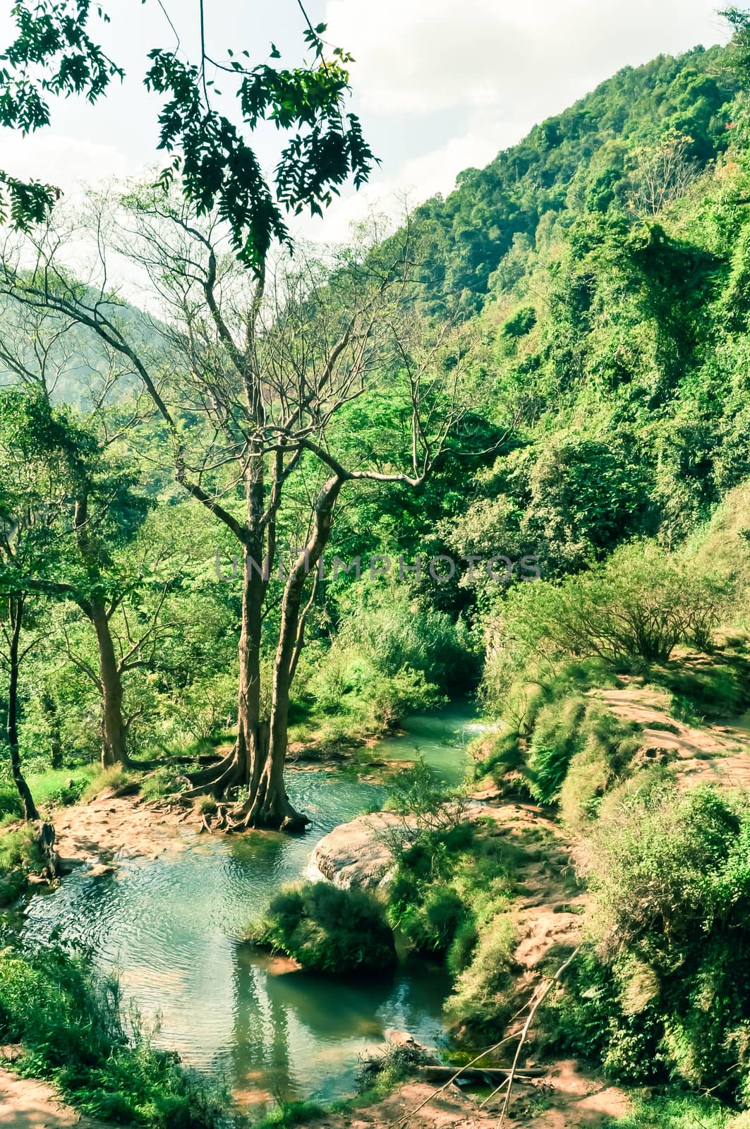 Upstream of the Vat spring which flows to Dai Yem (Pink Blouse) waterfall, Moc Chau, Son La, Vietnam. Floral stretch of land with stunning view of surrounding mountainous. Early days of life on earth