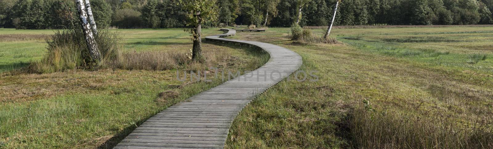 a winding wooden hiking trail through nature in the Veluwe near Epe