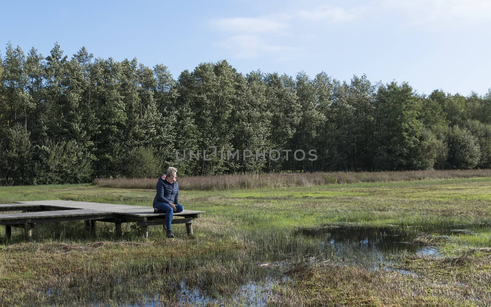 mature woman is resting in nature on a wooden platform in the Veluwe nature reserve in the Netherlands