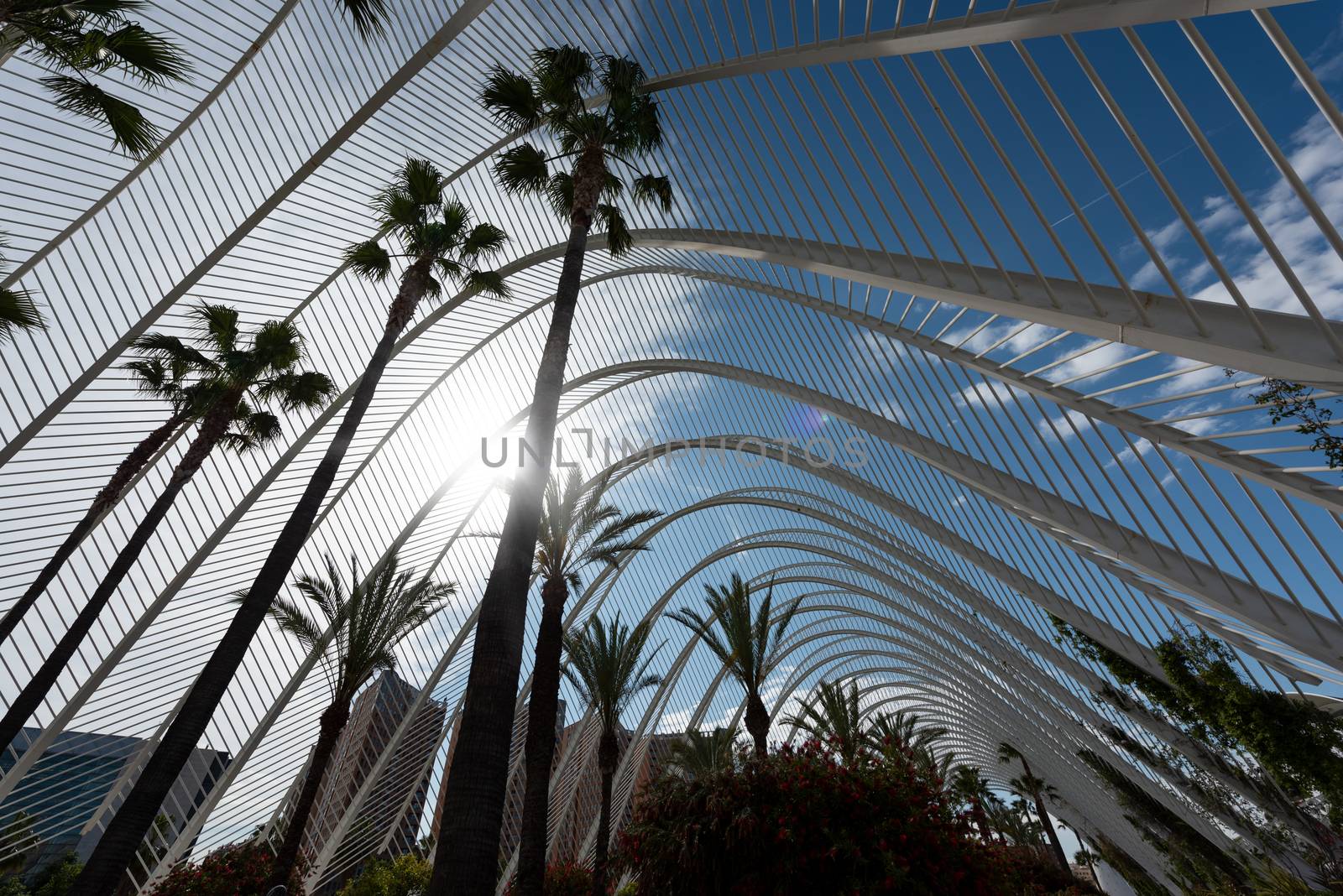 Valencia - the city of arts and Sciences  by ventdusud