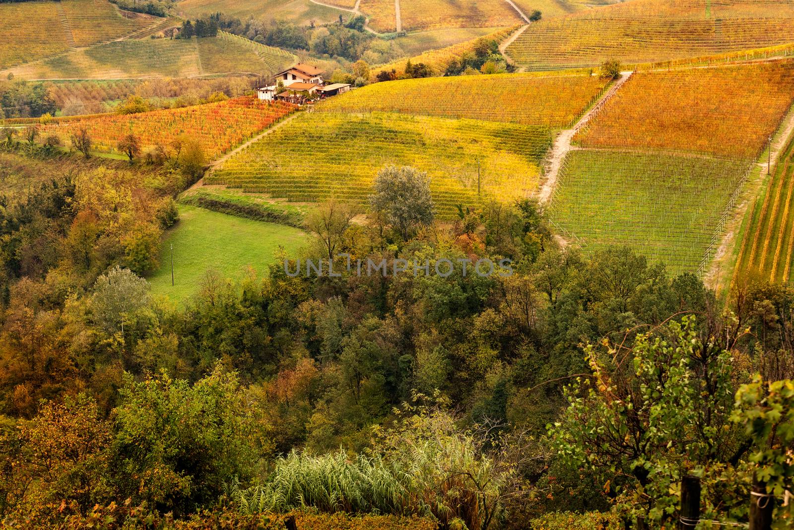 Piedmont countryside in autumn by ventdusud