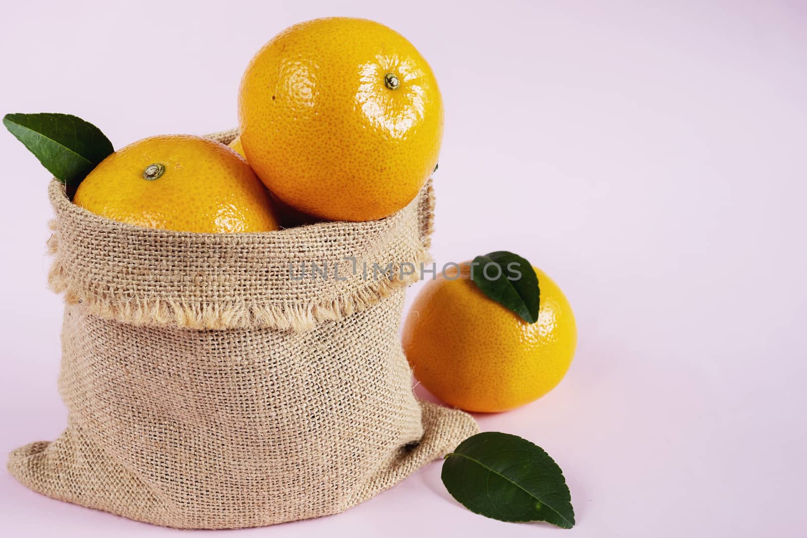 Fresh juicy orange fruit set over light pink background - tropical orange fruit for background use by pairhandmade