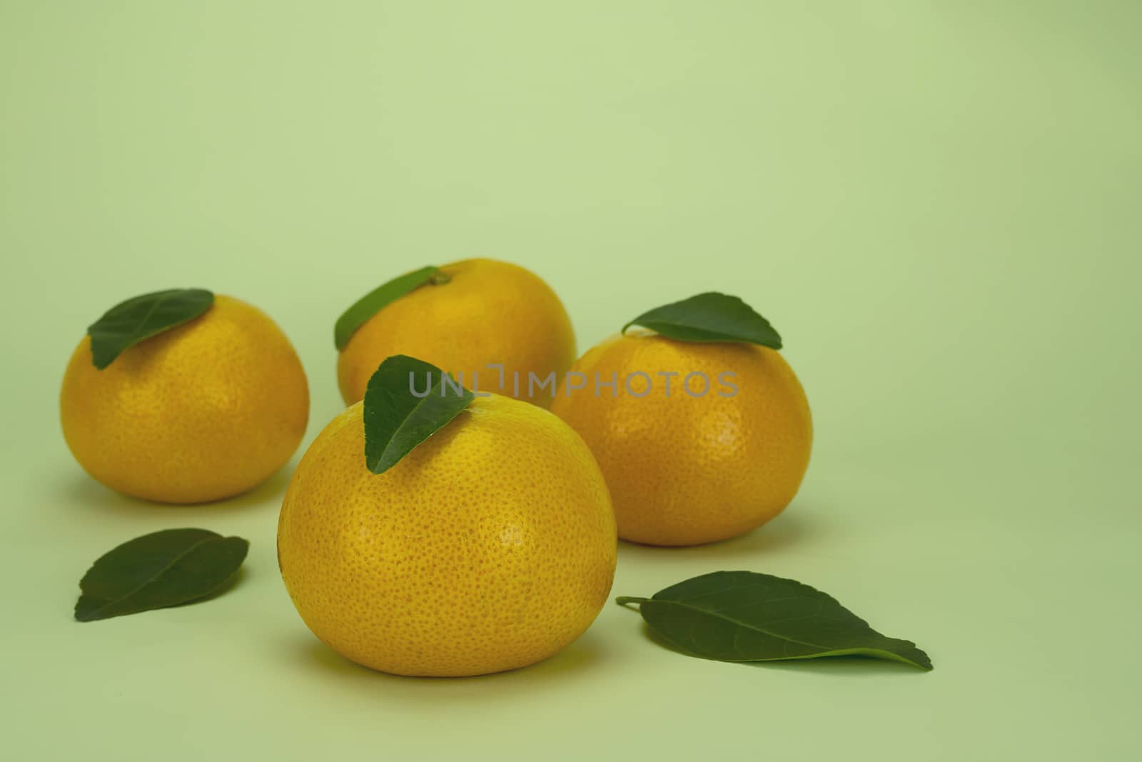 agriculture, background, c, citrus, close-up, closeup, color, cut, cut out, food, fresh, freshness, fruit, green, half, health, healthy, isolated, juice, juicy, leaf, natural, nature, one, orange, orange fruit, orange leaf, orange slice, oranges, organic, perfect, piece, raw, refreshing, ripe, section, segment, set, slice, sliced, studio, sweet, taste, tasty, tropical, vegetarian, vitamin, white, whole, yellow