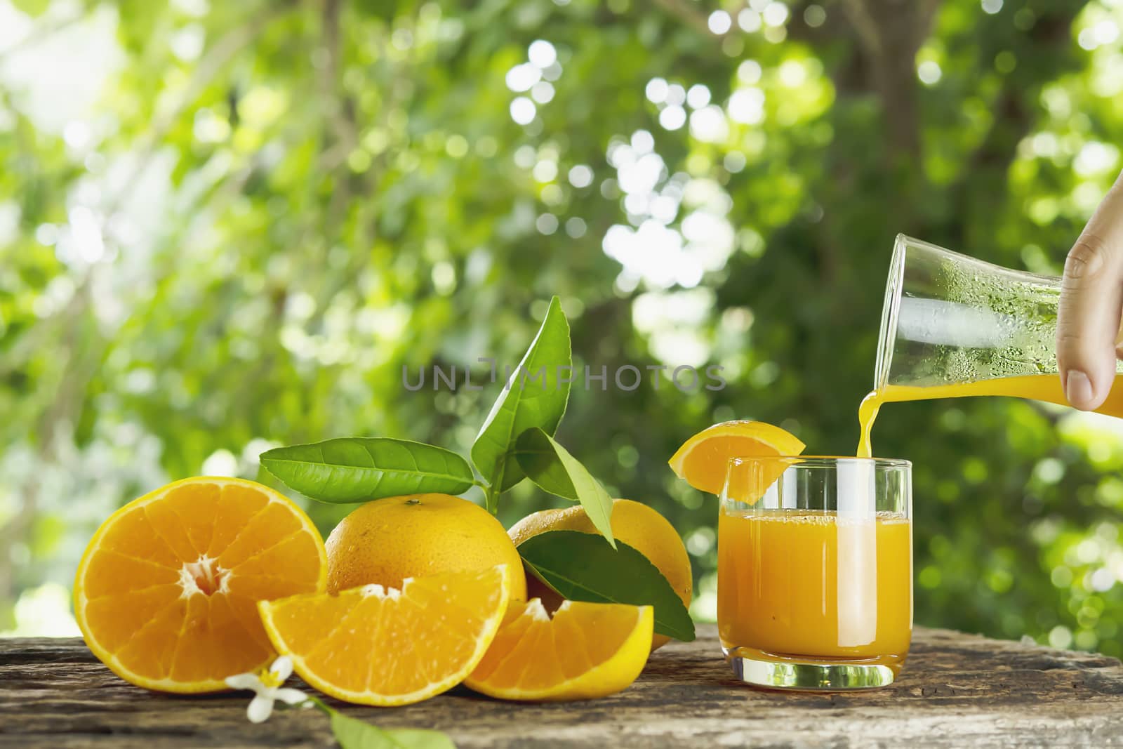 Fresh juicy orange fruit set over green nature background - tropical orange fruit for background use by pairhandmade