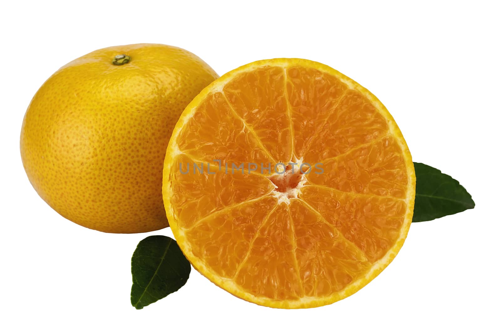 Fresh juicy orange fruit set over white background - tropical orange fruit for background use by pairhandmade